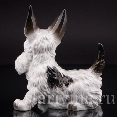 Фигурка собаки из фарфора Скотчтерьер гротеск, миниатюра, Rosenthal, Германия, 1939 г.