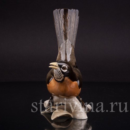Статуэтка птицы из фарфора Дрозд рябинник, Hutschenreuther, Германия, сер. 20 в.