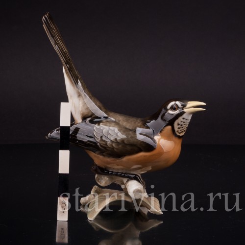 Статуэтка птицы из фарфора Дрозд рябинник, Hutschenreuther, Германия, сер. 20 в.