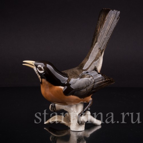 Статуэтка птицы из фарфора Дрозд рябинник, Hutschenreuther, Германия, сер. 20 в.