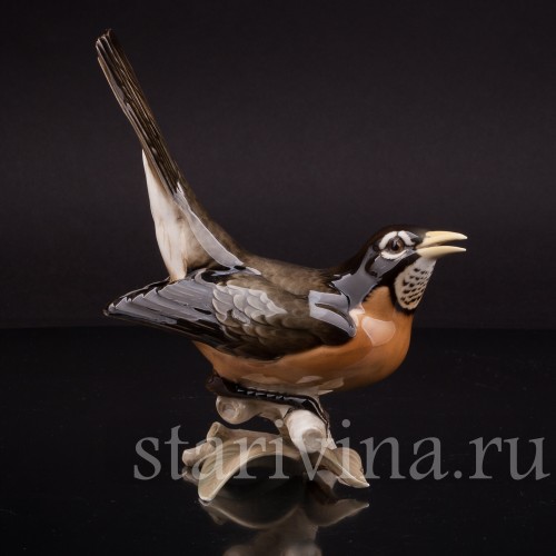 Статуэтка птицы из фарфора Дрозд рябинник, Hutschenreuther, Германия, сер. 20 в.
