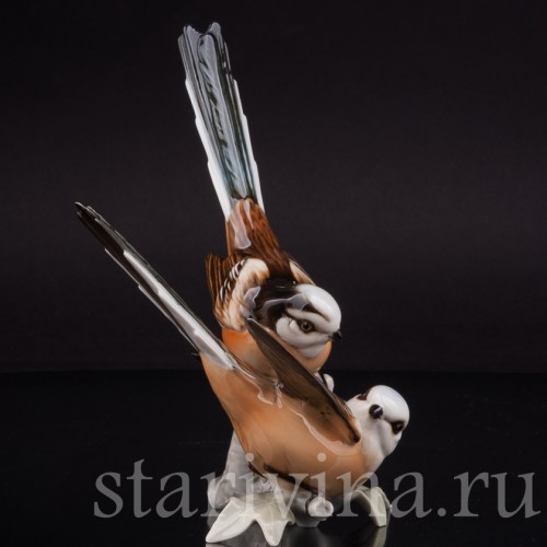 Статуэтка птиц из фарфора Длиннохвостые синицы, Hutschenreuther, Германия, 1970 гг.