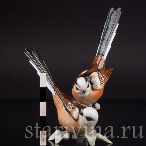 Статуэтка птиц из фарфора Длиннохвостые синицы, Hutschenreuther, Германия, 1970 гг.