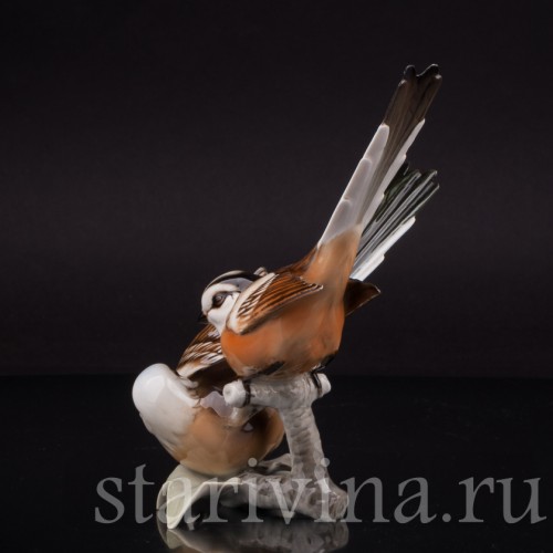 Статуэтка птиц из фарфора Длиннохвостые синицы, Hutschenreuther, Германия, 1970 гг.