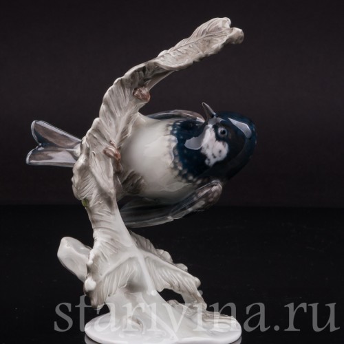 Фигурка птицы из фарфора Синица-московка на еловой ветке, Rosenthal, Германия, 1950 гг.