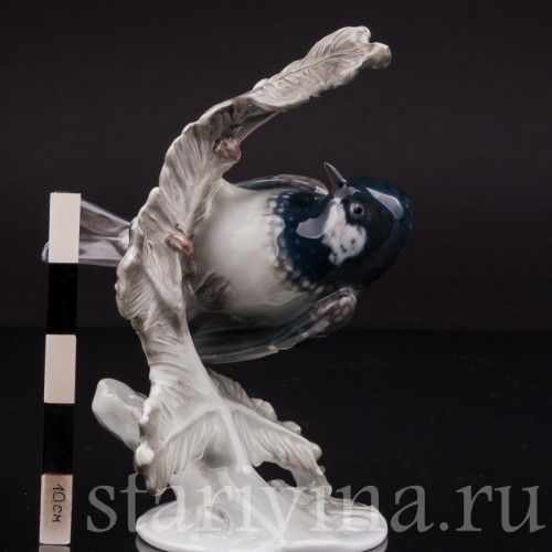 Фигурка птицы из фарфора Синица-московка на еловой ветке, Rosenthal, Германия, 1950 гг.