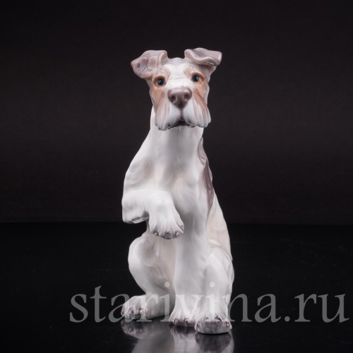 Собака с поднятой лапой, Dahl Jensen, Дания