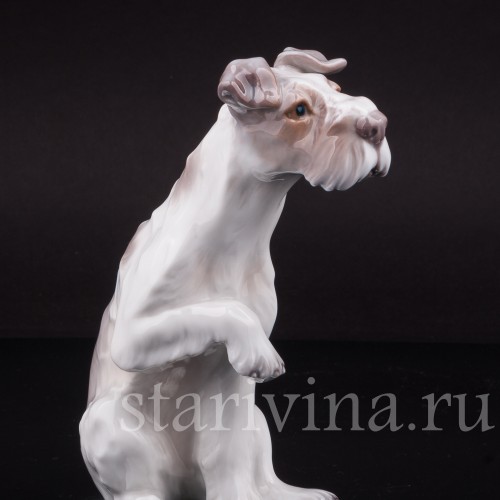 Собака с поднятой лапой, Dahl Jensen, Дания