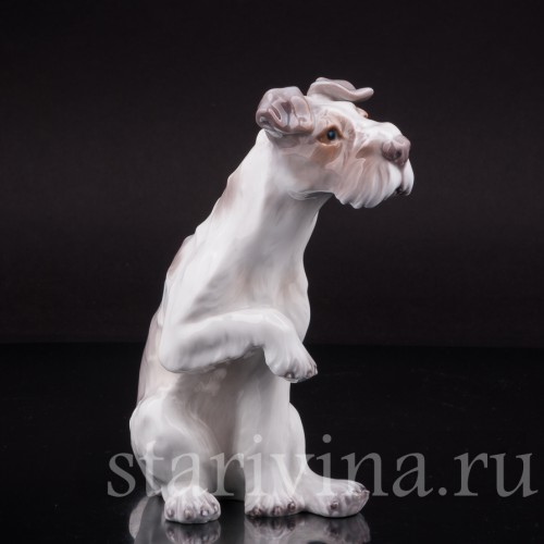 Собака с поднятой лапой, Dahl Jensen, Дания