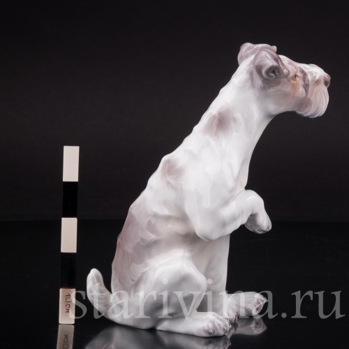 Собака с поднятой лапой, Dahl Jensen, Дания