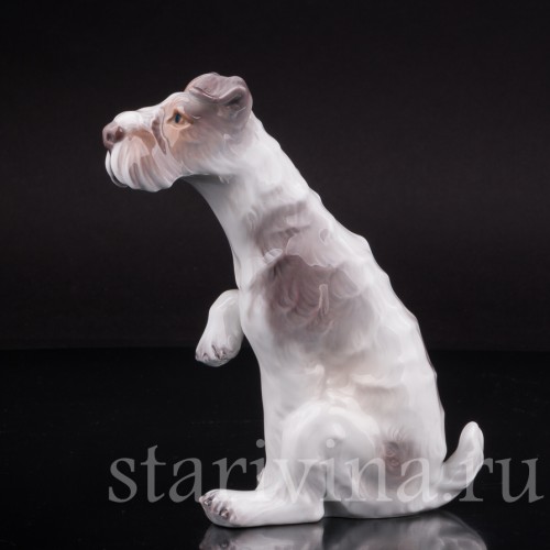 Собака с поднятой лапой, Dahl Jensen, Дания