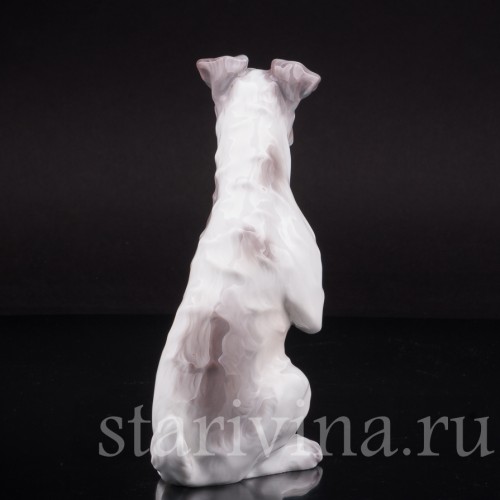 Собака с поднятой лапой, Dahl Jensen, Дания