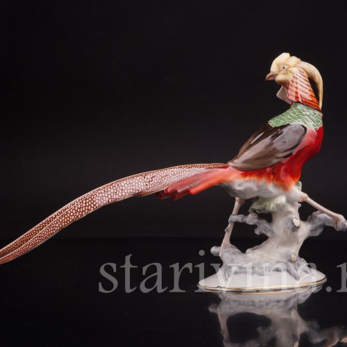 Фигурка птицы из фарфора Золотой фазан, Hutschenreuther, Германия, 1970 гг.