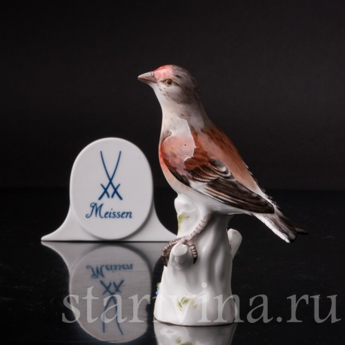 Фигурка птицы из фарфора Коноплянка, Meissen, Германия.