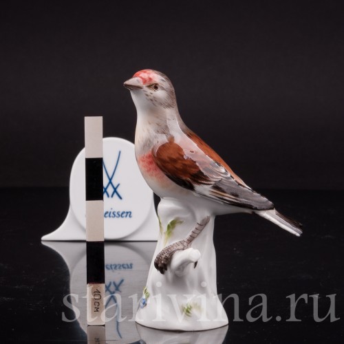 Фигурка птицы из фарфора Коноплянка, Meissen, Германия.