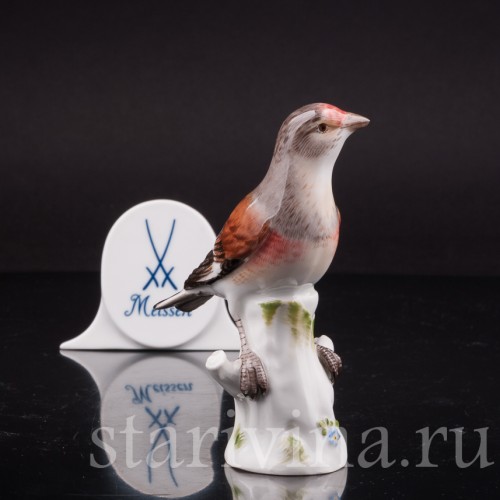 Фигурка птицы из фарфора Коноплянка, Meissen, Германия.