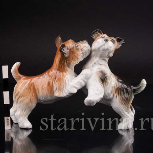Фарфоровая статуэтка собак Играющие терьеры, Karl Ens, Германия, сер. 20 в.