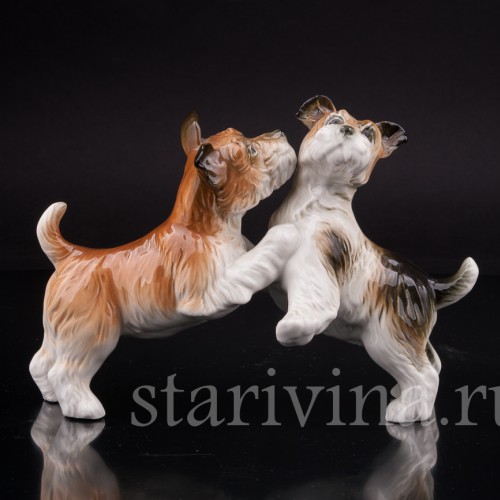 Фарфоровая статуэтка собак Играющие терьеры, Karl Ens, Германия, сер. 20 в.