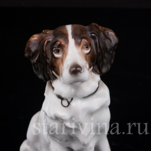 Фарфоровая статуэтка собаки Сидящий пес, Karl Ens, Германия, 1920-30 гг.
