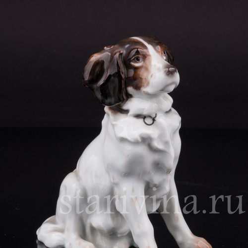 Фарфоровая статуэтка собаки Сидящий пес, Karl Ens, Германия, 1920-30 гг.
