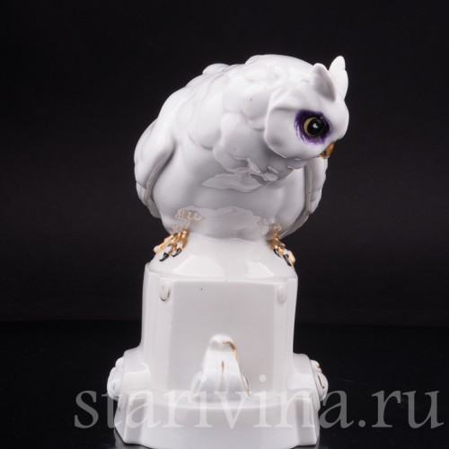 Фигурка птицы из фарфора Ушаста сова, Hertwig & Co, Германия, нач. 20 в.