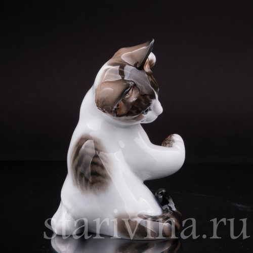 Фарфоровая статуэтка Играющий кот, Rosenthal, Германия, 1972-84 гг.