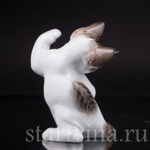 Фарфоровая статуэтка Играющий кот, Rosenthal, Германия, 1972-84 гг.