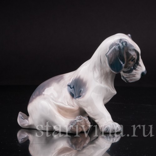 Статуэтка собаки из фарфора Щенок селихем терьера, Dahl Jensen, Дания, сер. 20 в.