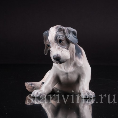 Статуэтка собаки из фарфора Щенок селихем терьера, Dahl Jensen, Дания, сер. 20 в.
