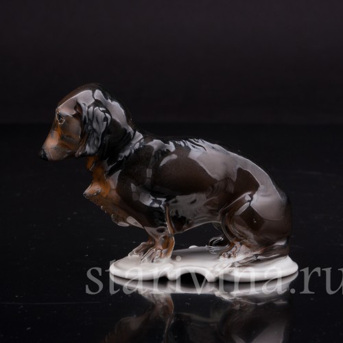 Фигурка собаки из фарфора Такса, миниатюра, Rosenthal, Германия, 1953 г.