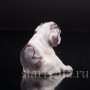 Статуэтка собаки из фарфора Щенок бульдога, миниатюра, Dahl Jensen, Дания.