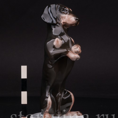 Фарфоровая статуэтка собаки Такса, стоящая на задних лапах, Rosenthal, Германия, 1924 г.