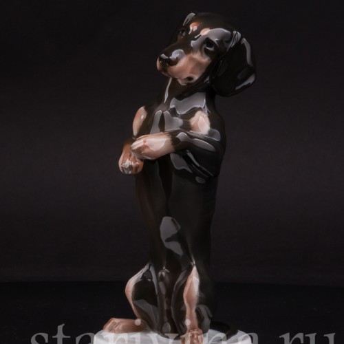 Фарфоровая статуэтка собаки Такса, стоящая на задних лапах, Rosenthal, Германия, 1924 г.