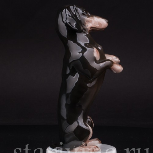 Фарфоровая статуэтка собаки Такса, стоящая на задних лапах, Rosenthal, Германия, 1924 г.