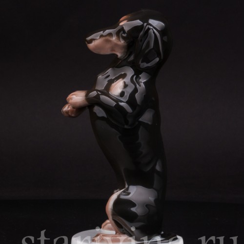 Фарфоровая статуэтка собаки Такса, стоящая на задних лапах, Rosenthal, Германия, 1924 г.