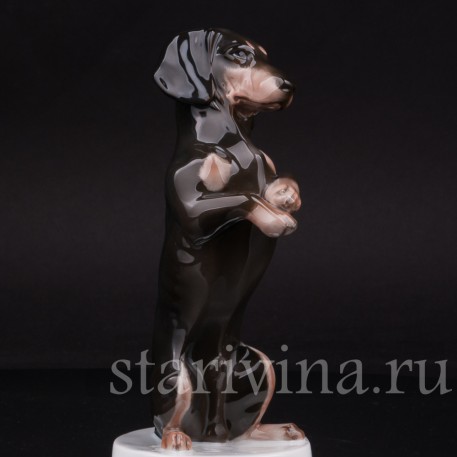 Фарфоровая статуэтка собаки Такса, стоящая на задних лапах, Rosenthal, Германия, 1924 г.