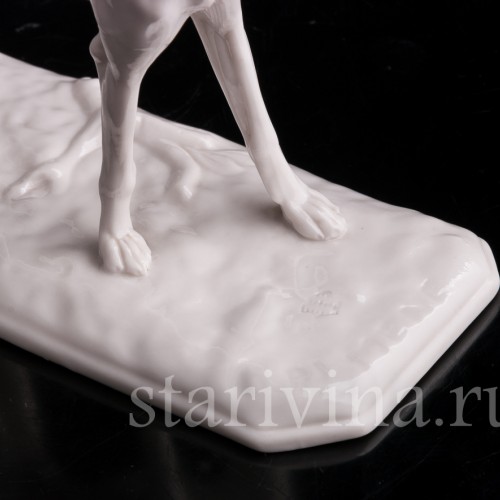 Фарфоровая статуэтка Грейхаунд Nymphenburg, Германия.