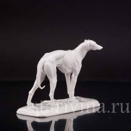 Фарфоровая статуэтка Грейхаунд Nymphenburg, Германия.