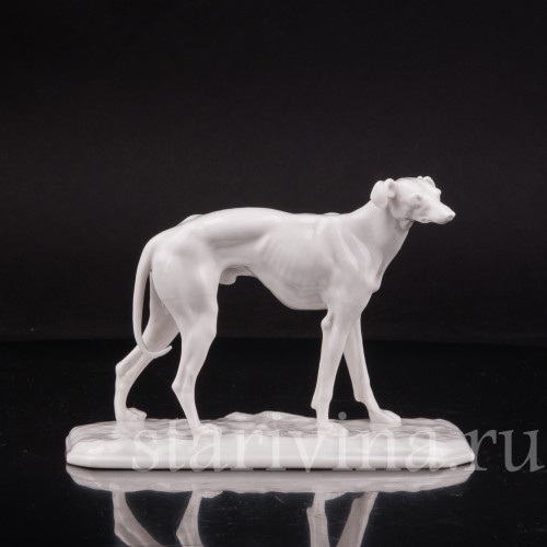 Фарфоровая статуэтка Грейхаунд Nymphenburg, Германия.