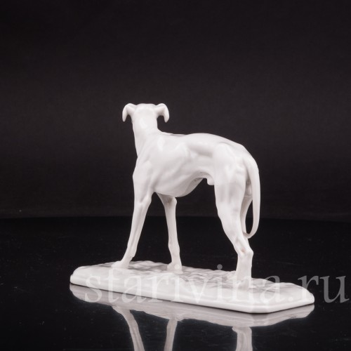 Фарфоровая статуэтка Грейхаунд Nymphenburg, Германия.