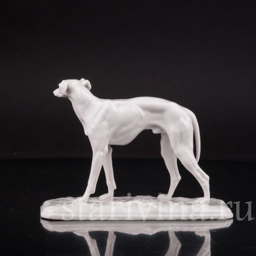 Фарфоровая статуэтка Грейхаунд Nymphenburg, Германия.