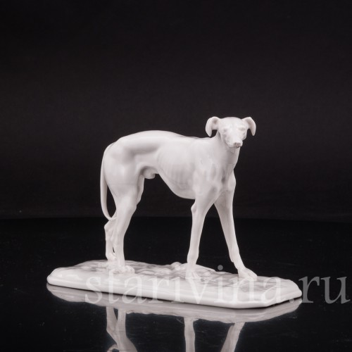 Фарфоровая статуэтка Грейхаунд Nymphenburg, Германия.