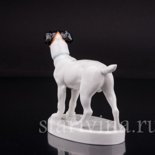 Статуэтка из фарфора Собака, Volkstedt, Германия, нач. 20 в.
