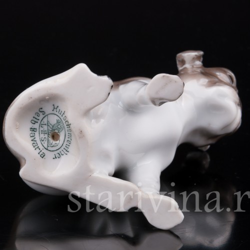 Статуэтка собаки из фарфора Мопс, миниатюра, Hutschenreuther, Германия, 1920-38 гг.