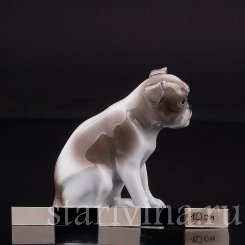 Статуэтка собаки из фарфора Мопс, миниатюра, Hutschenreuther, Германия, 1920-38 гг.