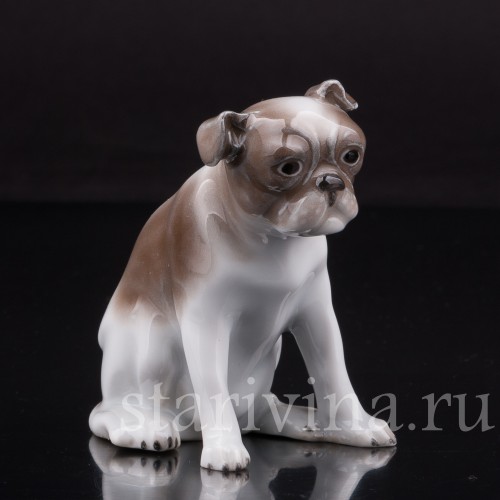 Статуэтка собаки из фарфора Мопс, миниатюра, Hutschenreuther, Германия, 1920-38 гг.