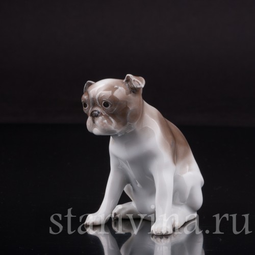 Статуэтка собаки из фарфора Мопс, миниатюра, Hutschenreuther, Германия, 1920-38 гг.