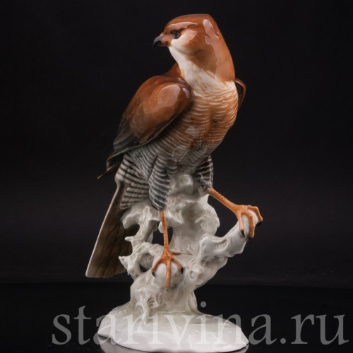 Статуэтка птицы из фарфора Ястреб-перепелятник, Hutschenreuther, Германия, 1970 гг.