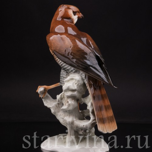 Статуэтка птицы из фарфора Ястреб-перепелятник, Hutschenreuther, Германия, 1970 гг.