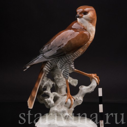 Статуэтка птицы из фарфора Ястреб-перепелятник, Hutschenreuther, Германия, 1970 гг.